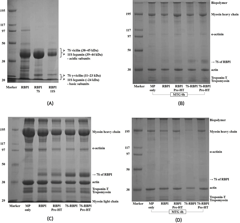 kosfa-36-5-671-f004