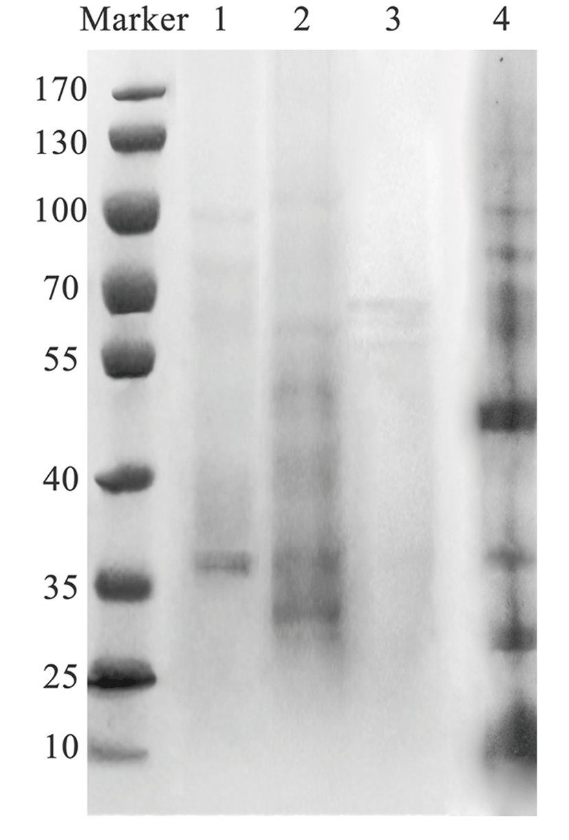 kosfa-36-6-769-f003