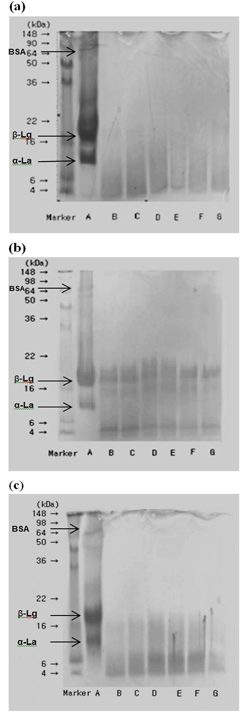 kosfa-37-1-62-f001