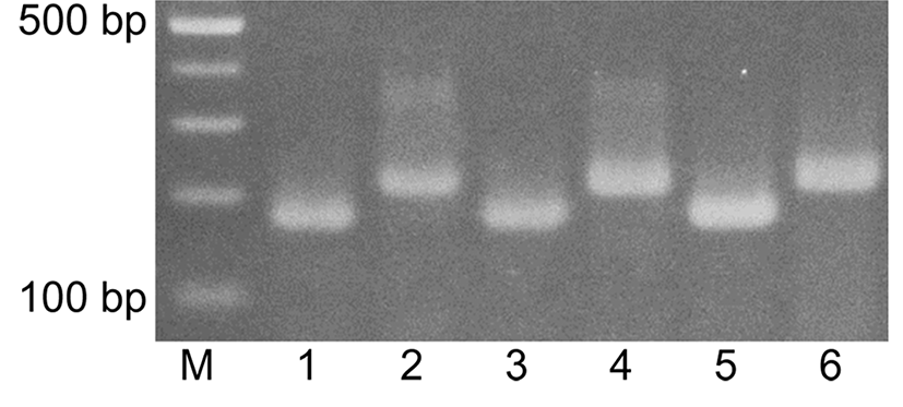 kosfa-37-4-599-f001