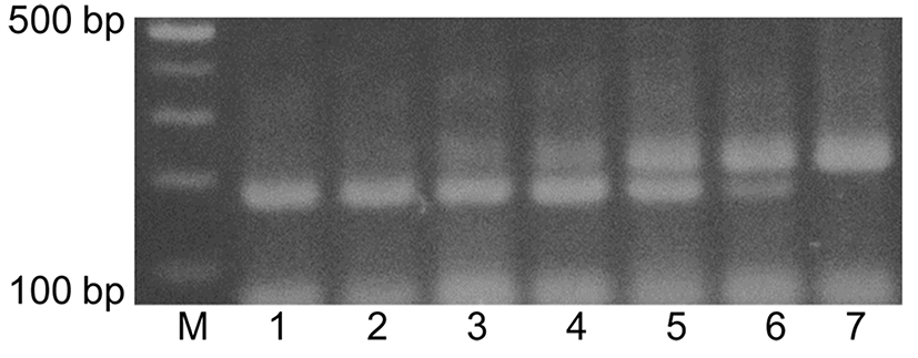 kosfa-37-4-599-f002