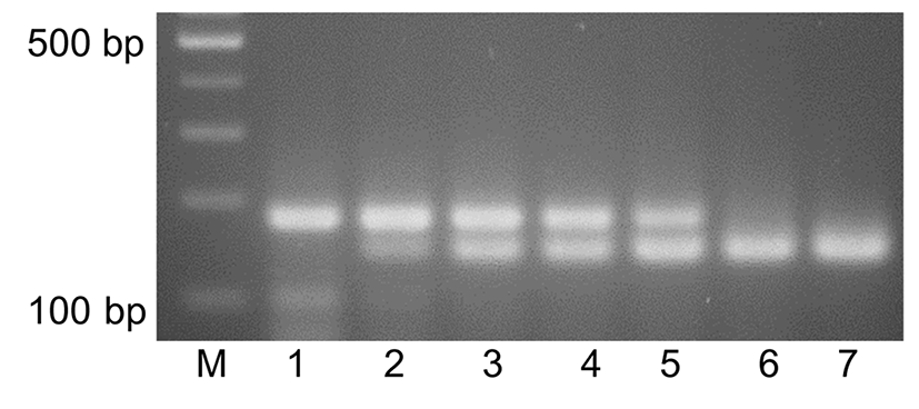 kosfa-37-4-599-f003