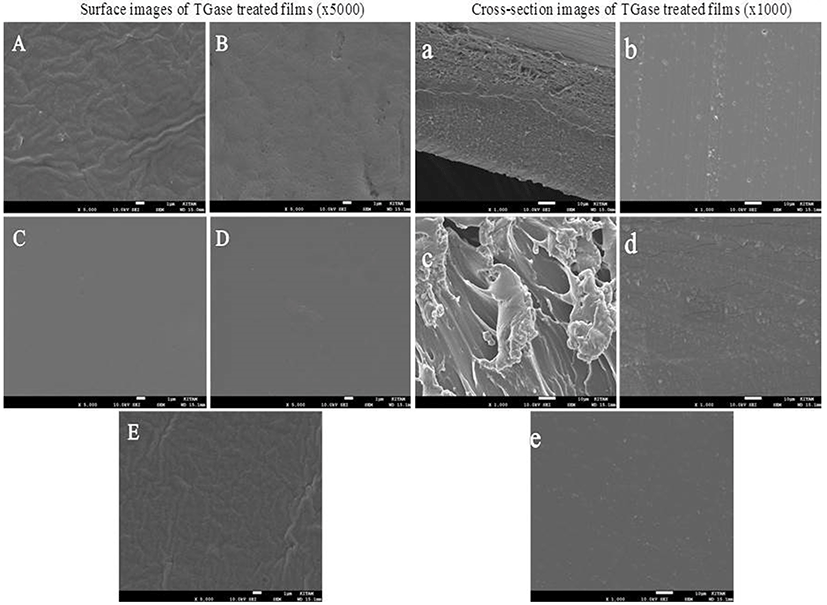 kosfa-37-5-635-f002