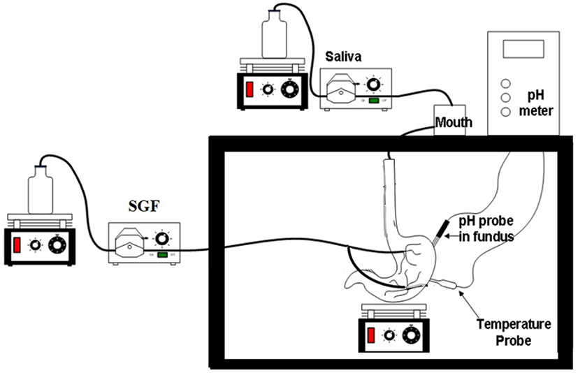 kosfa-37-5-682-f001