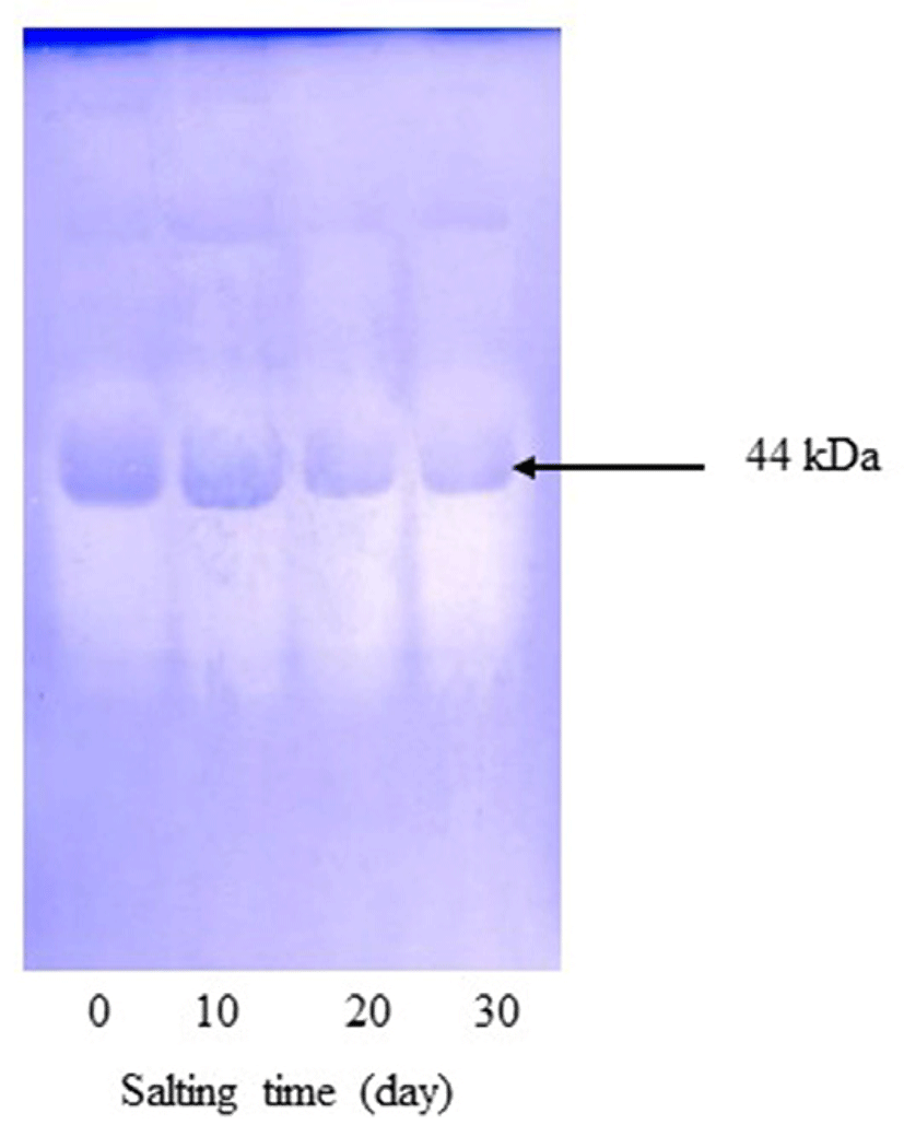 kosfa-38-1-14-f003