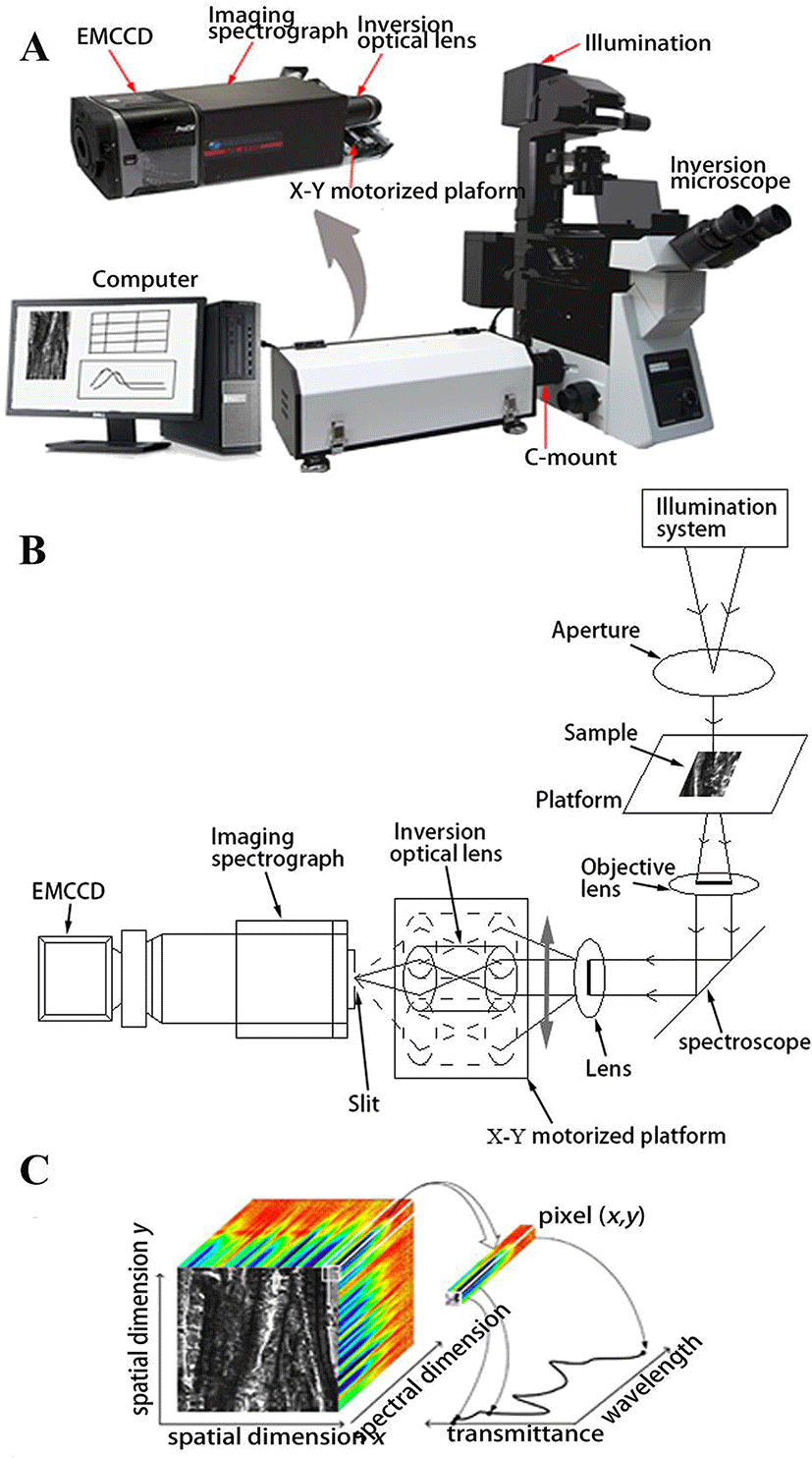 kosfa-38-2-362-g1