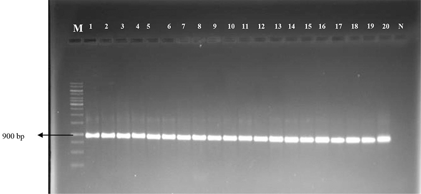 kosfa-38-2-391-g1