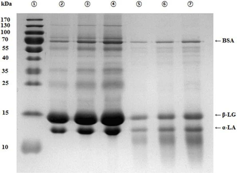 kosfa-38-4-780-g2