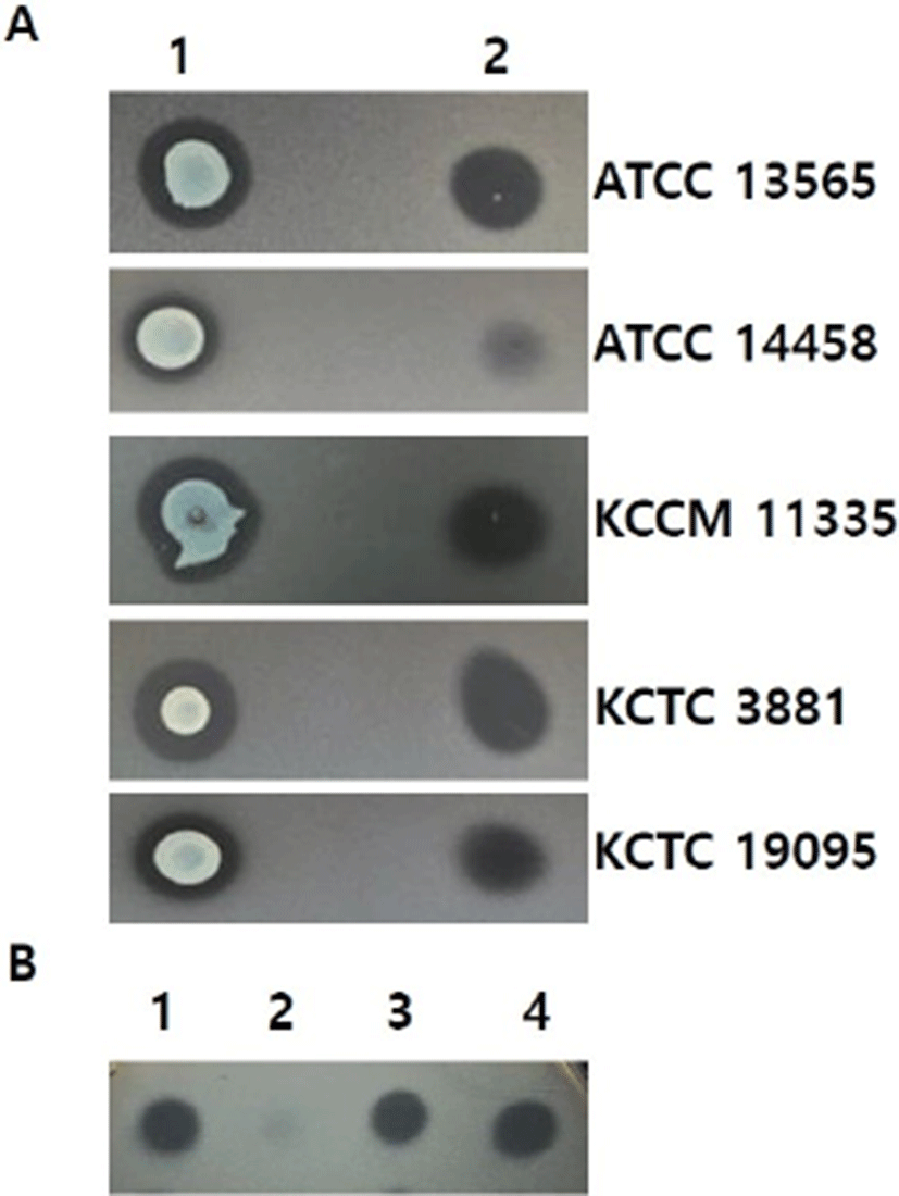 kosfa-38-6-1315-g1