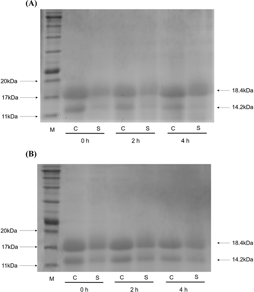 kosfa-39-3-459-g5