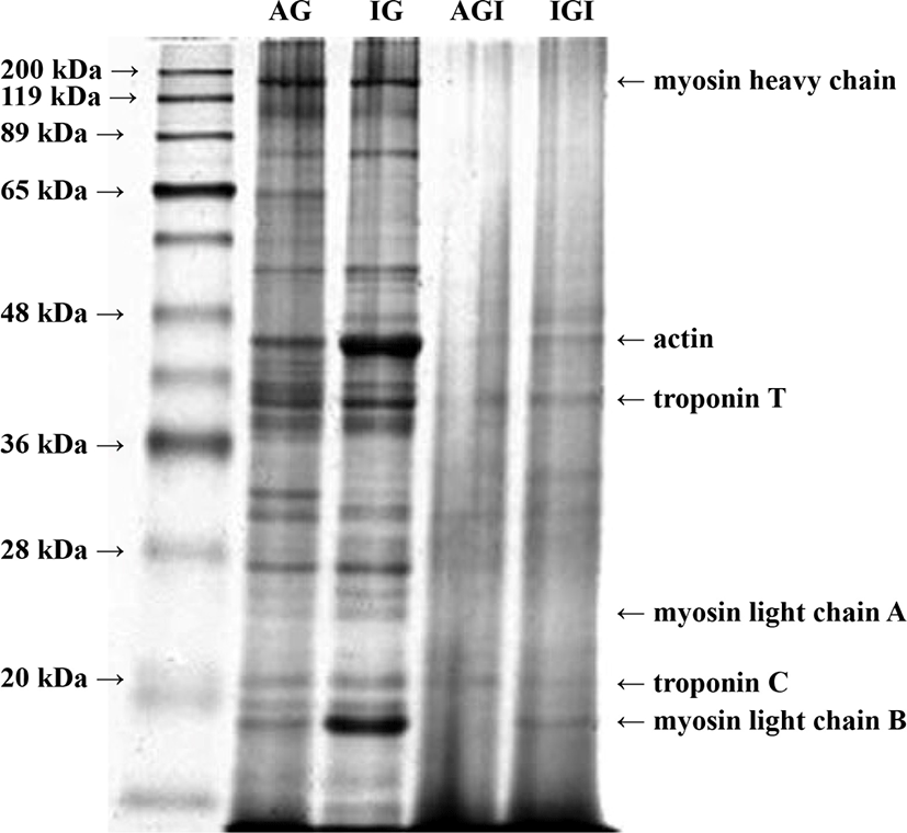 kosfa-39-6-1000-g3