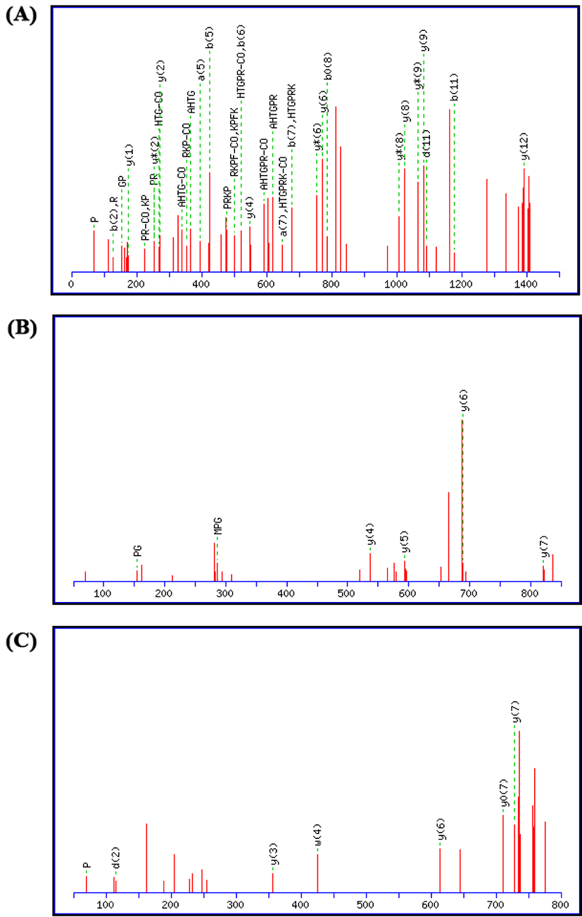 kosfa-39-6-966-g2