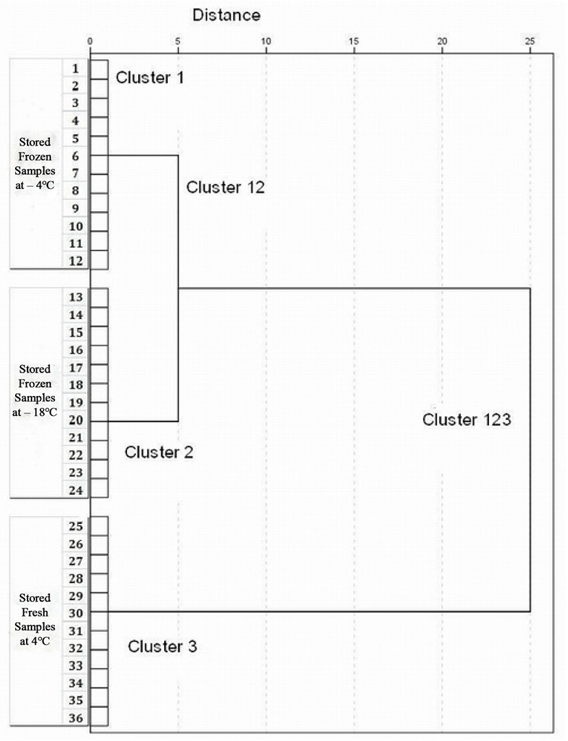 kosfa-40-3-350-g2