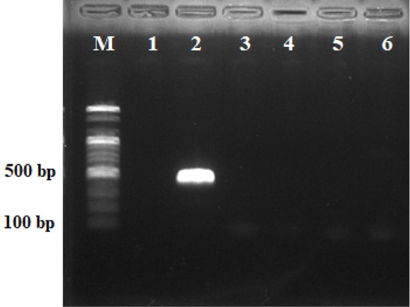 kosfa-40-4-512-g3