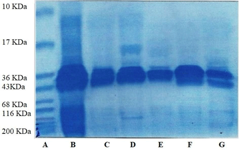 kosfa-40-5-689-g1