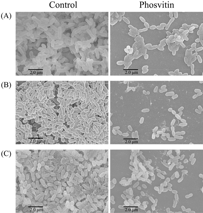 kosfa-40-6-1001-g6