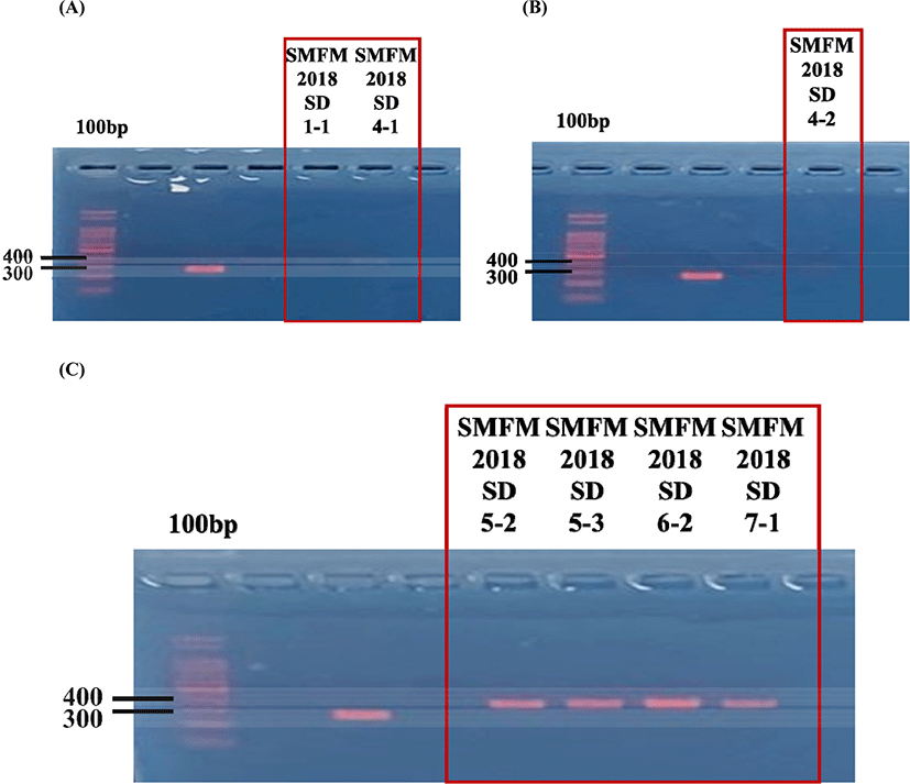 kosfa-41-2-324-g2