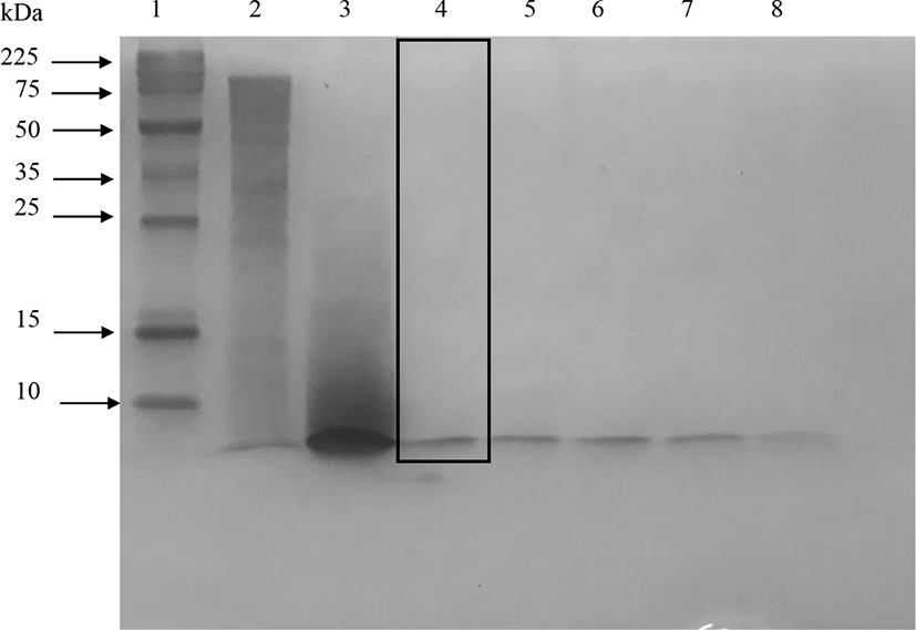 kosfa-41-4-608-g1