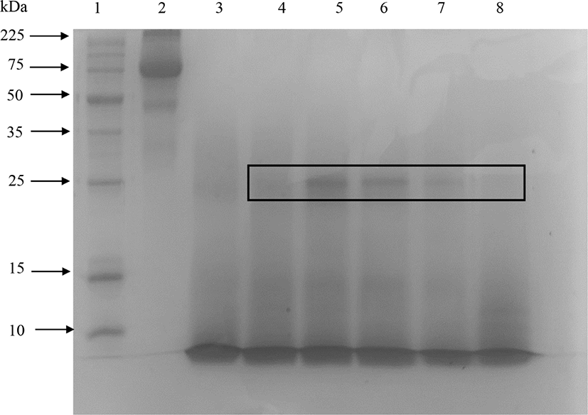 kosfa-41-4-608-g2