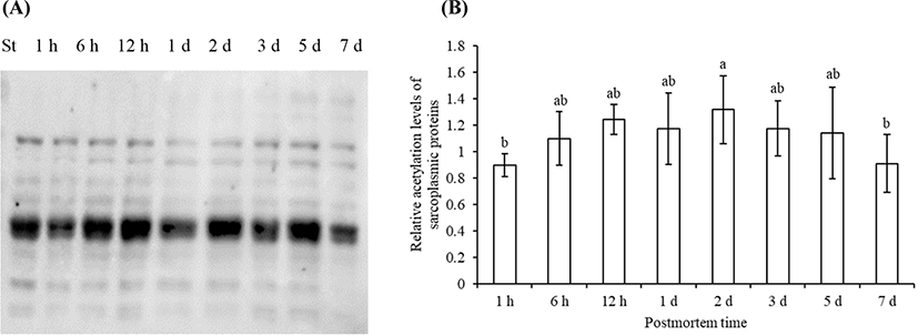 kosfa-41-4-650-g2