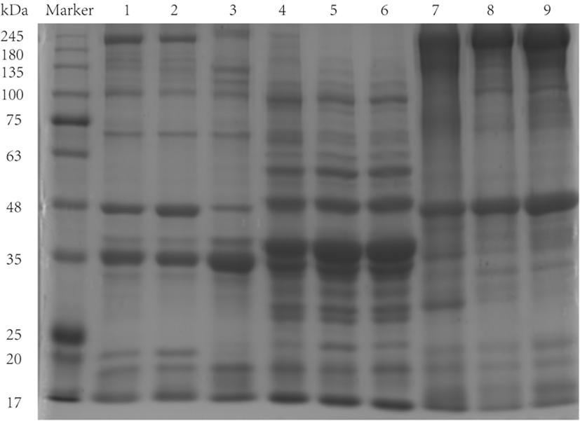 kosfa-41-6-1049-g2