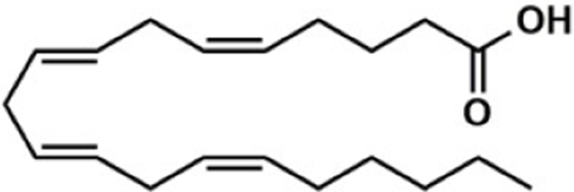 kosfa-42-1-1-g2