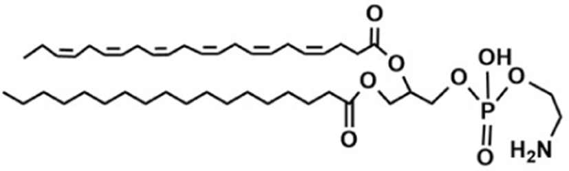 kosfa-42-1-1-g4