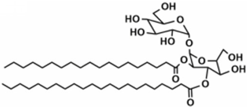 kosfa-42-1-1-g8