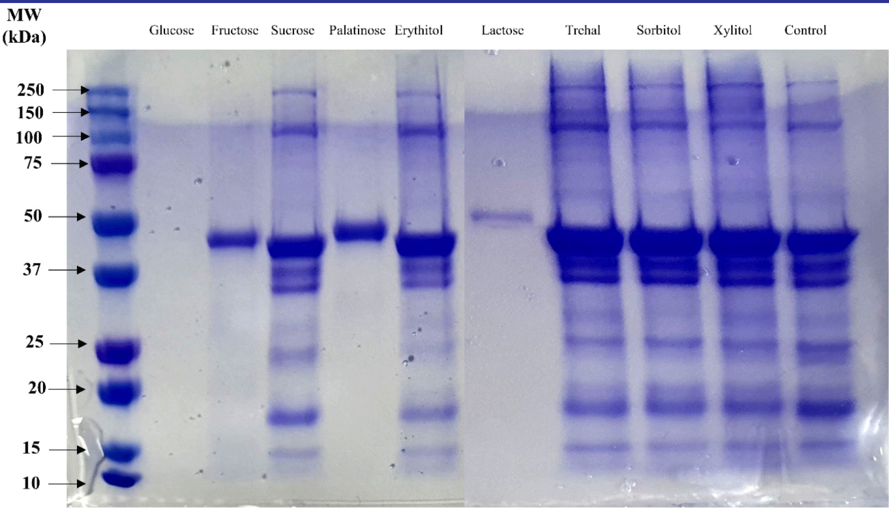 kosfa-42-5-849-g2