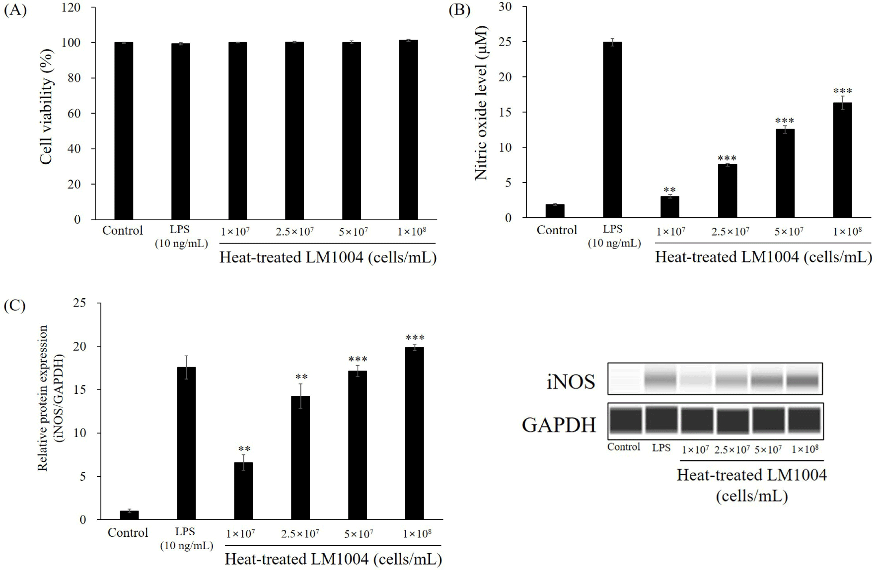 kosfa-42-6-1031-g2