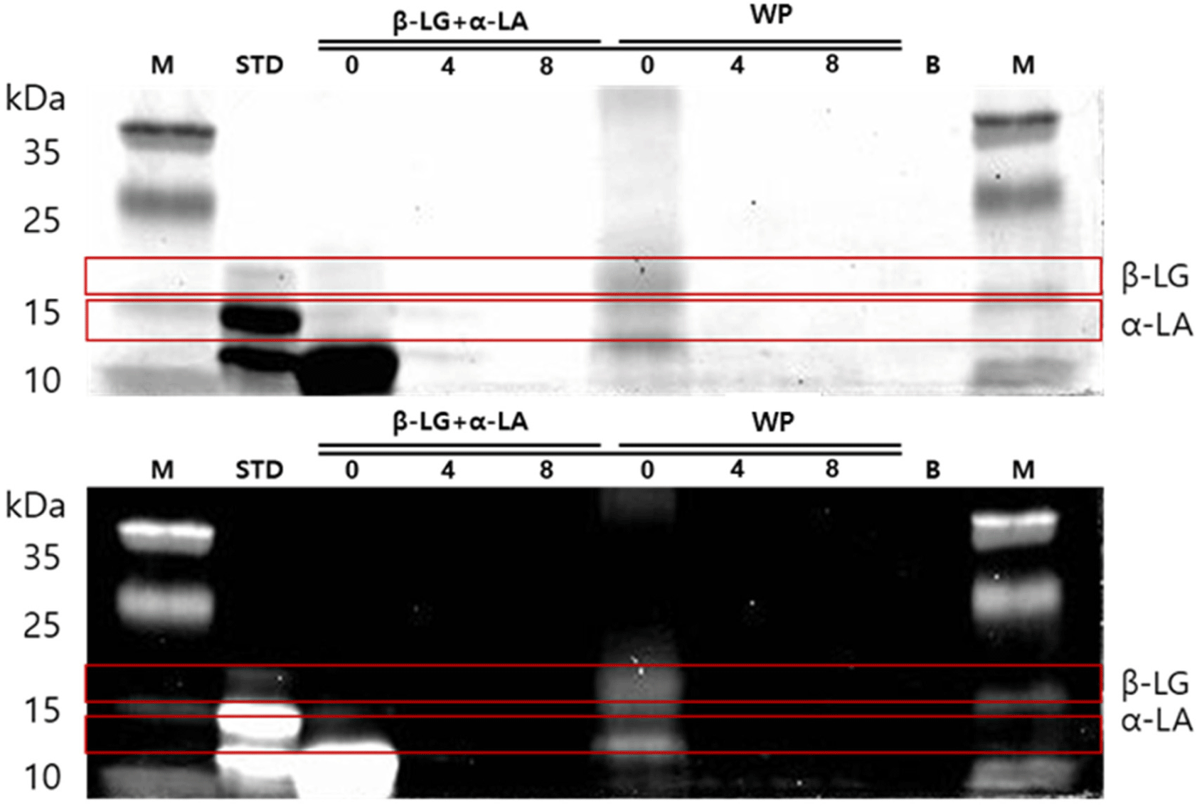 kosfa-43-4-594-g3