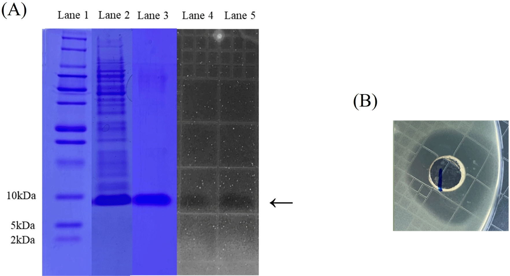 kosfa-43-4-625-g3