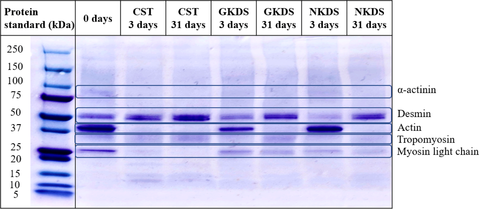 kosfa-43-5-877-g1