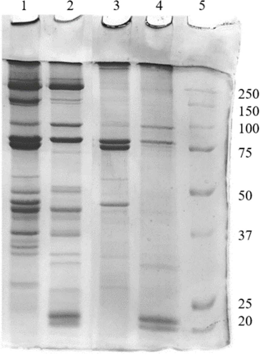 kosfa-43-6-1031-g3