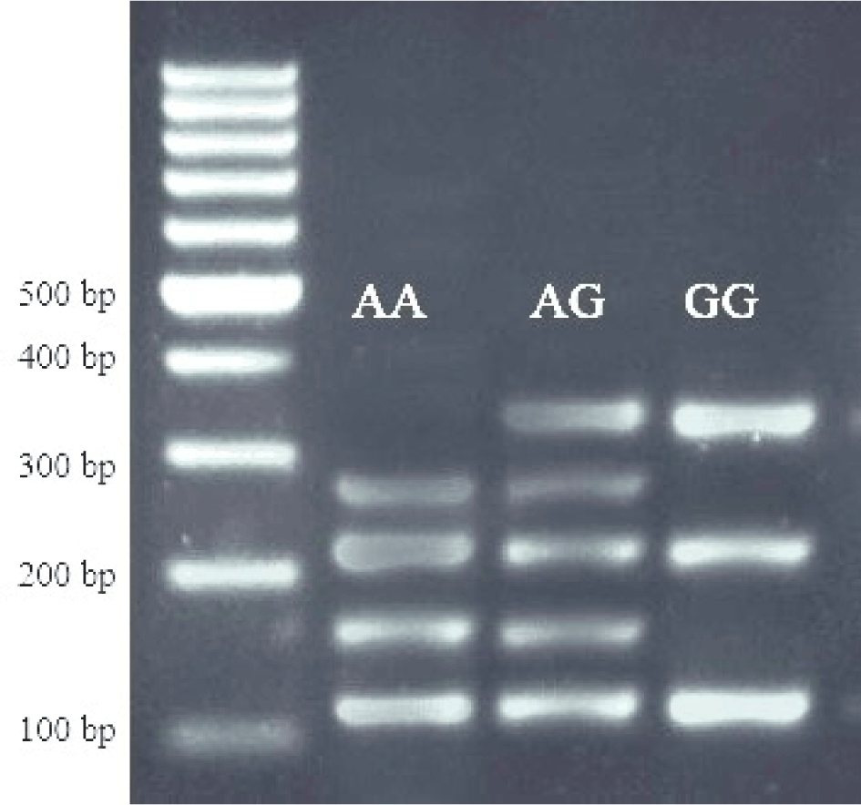 kosfa-45-4-1078-g2