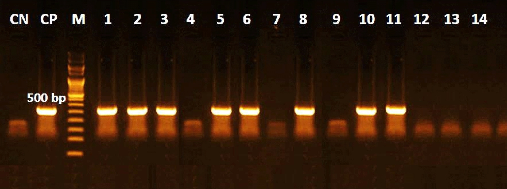 kosfa-45-5-1308-g5
