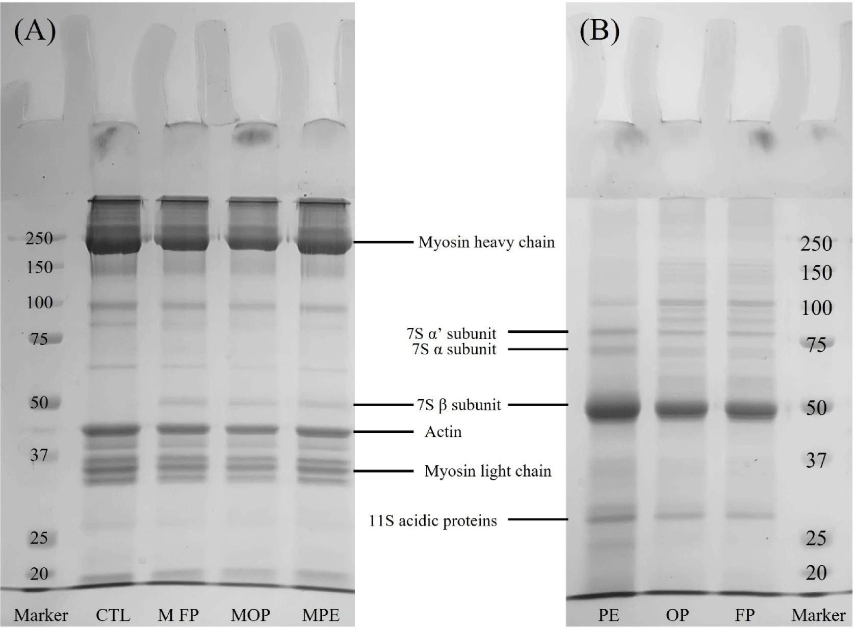 kosfa-45-5-1415-g4